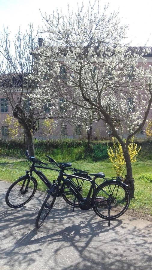 Agriturismo Casa Matilde Lauriano Buitenkant foto
